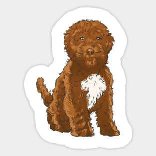 Cockapoo Dog t shirt P R t shirt Sticker